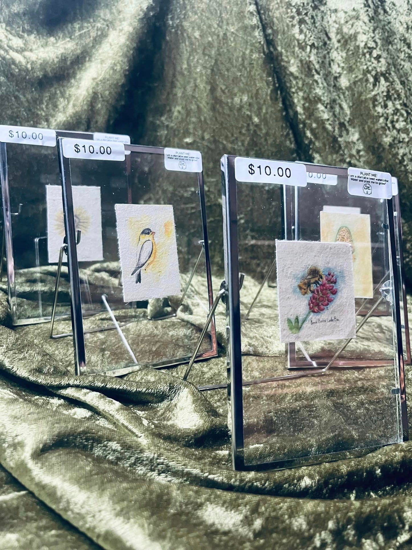 Plantable Framed Micro Watercolor