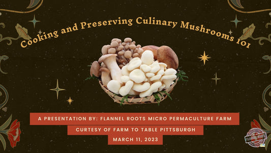 Home & Garden Show - Mushroom Cooking and Preservation 101