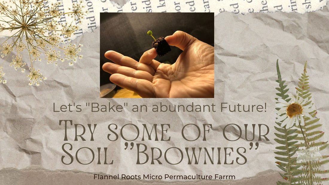 An Intro to Soil Blocking and "Baking Brownies" for an abundant future...