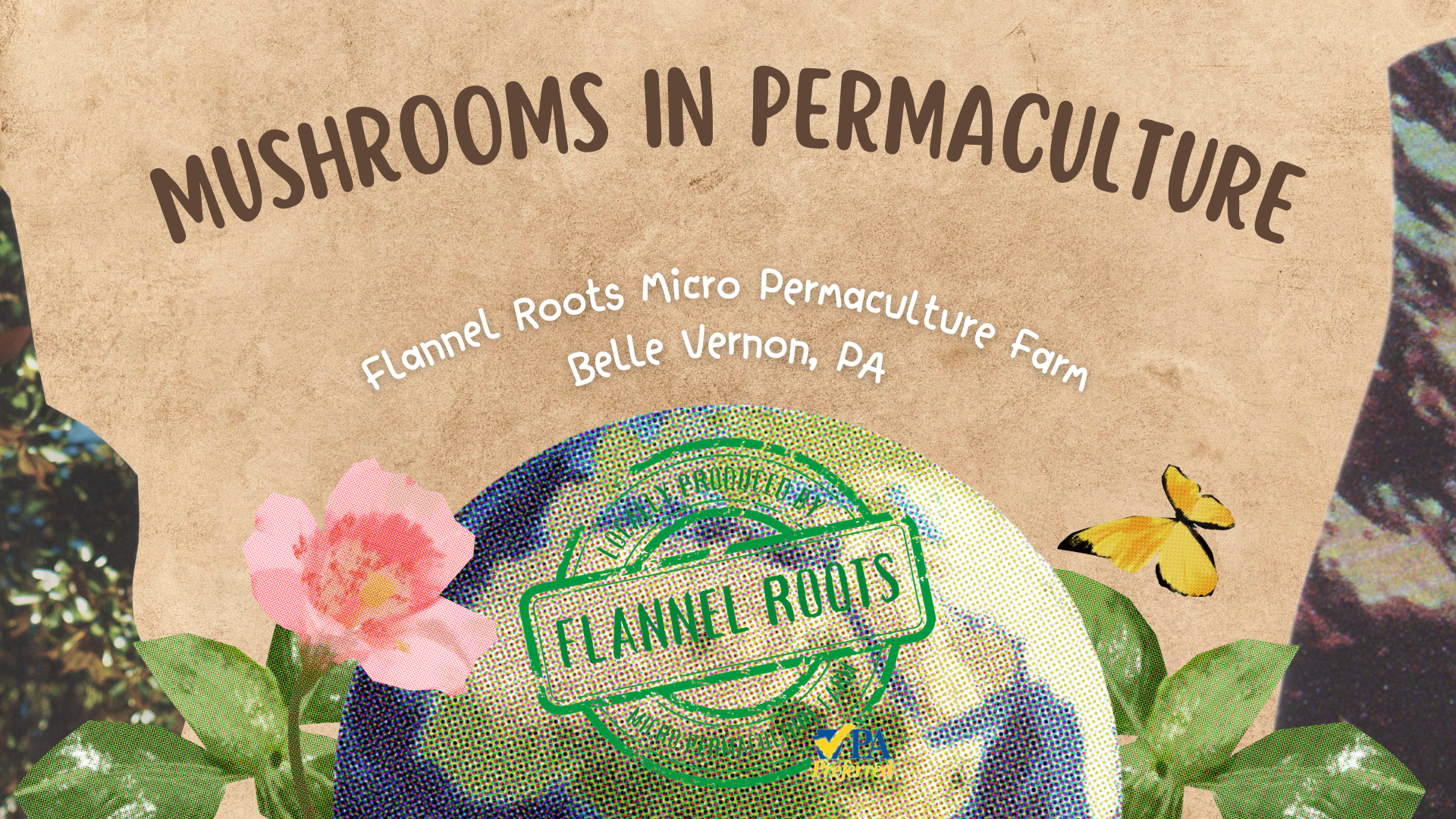 Mushrooms in Permaculture