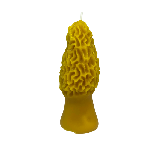 100% Local Beeswax Morel Candle 4"