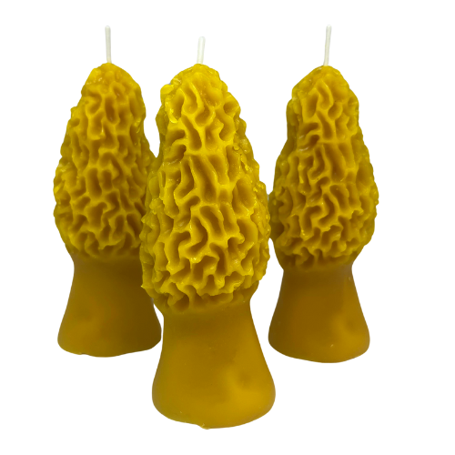 100% Local Beeswax Morel Candle 4"