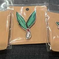 1/1 Acrylic Pin