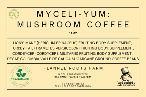 MYCELI~YUM Mushroom Coffee DECAF