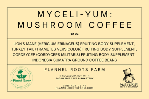 MYCELI~YUM Mushroom Coffee Sumatra
