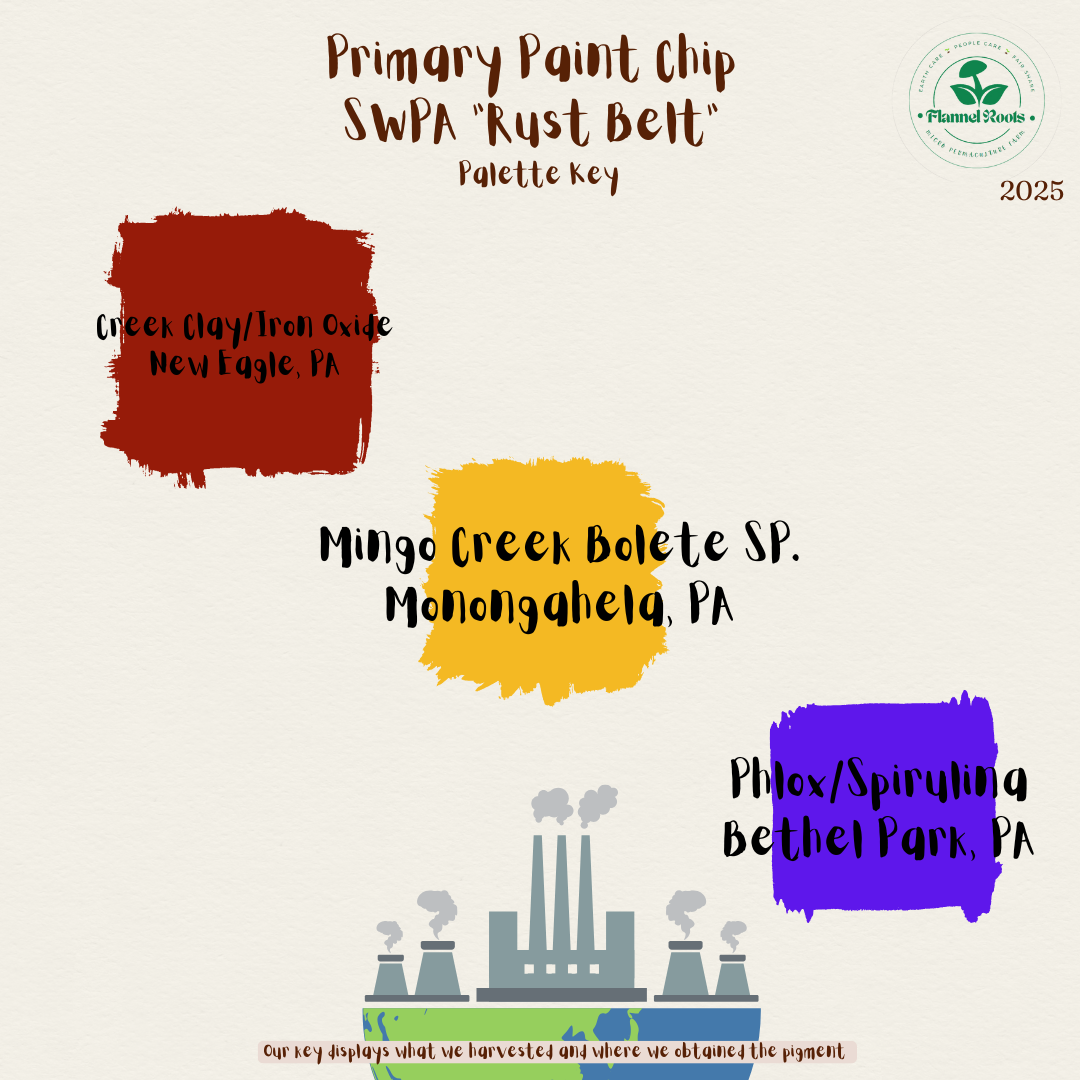 Foraged Pigments - Primary Paint Chips