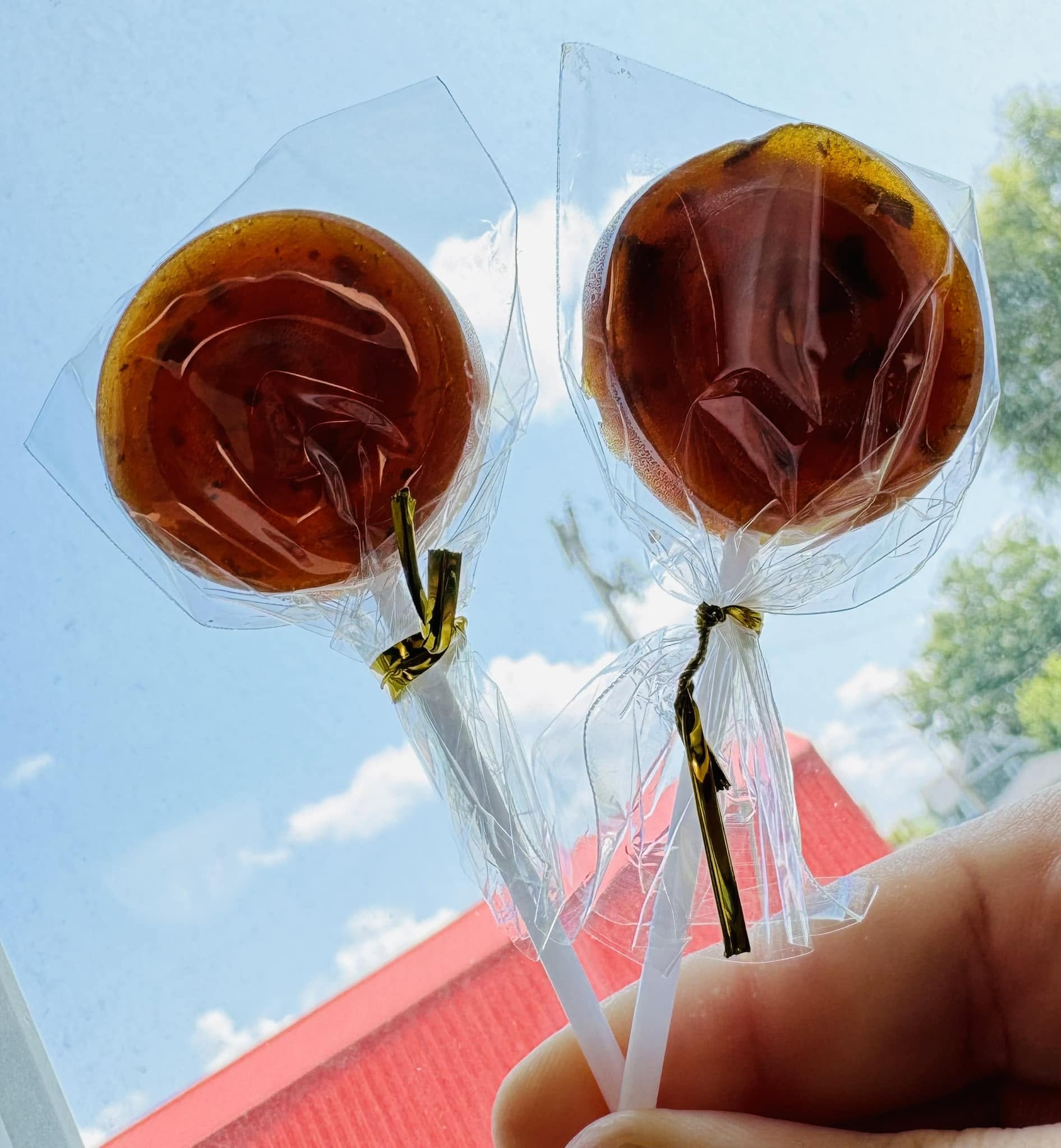 Candy Cap Mushroom Lollipop